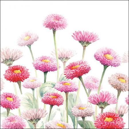 20er Servietten 'Bellis'