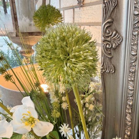 Allium Grande Perfect grün