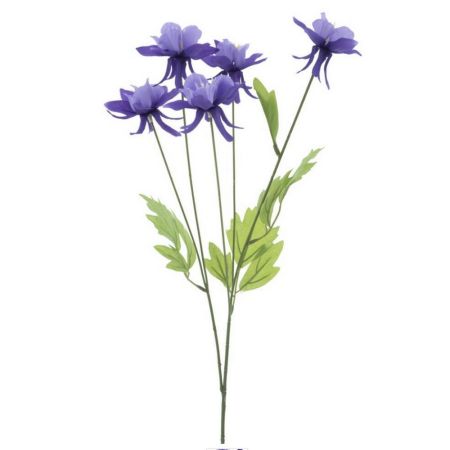 Alpen-Akelei Blütenzweig lila