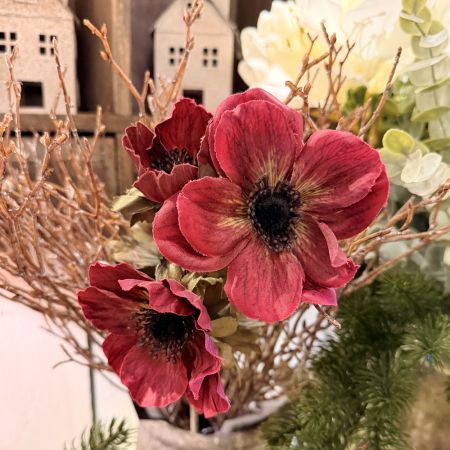 Anemone x3 aubergine