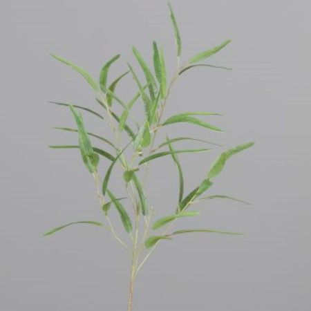 Bambuszweig grün