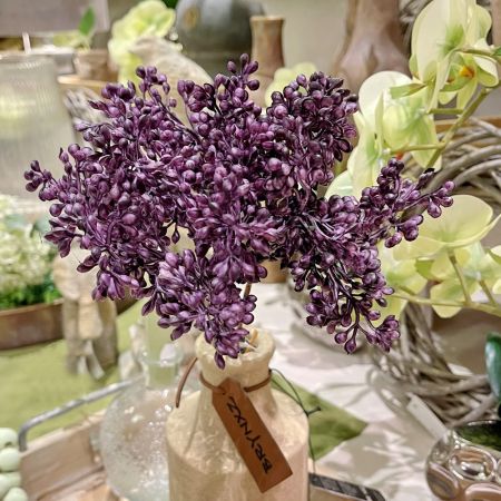 Beerenbund x3 purple