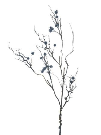 Beerenzweig Rune blau