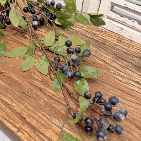 Beerenzweig blau