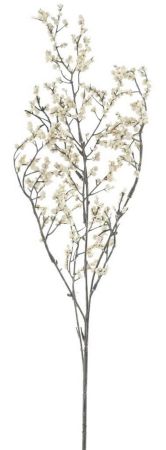 Beerenzweig cream 