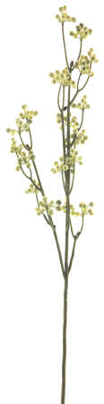 Beerenzweig cream 