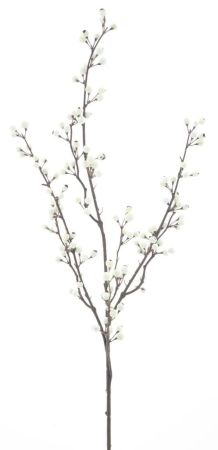 Beerenzweig cream