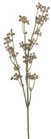 Beerenzweig mauve