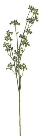Beerenzweig olive