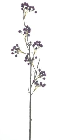 Beerenzweig purple