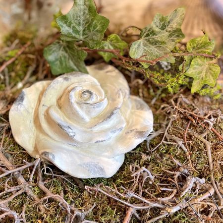 Blume Valo