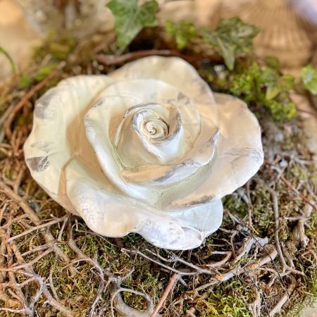 Blume Valo