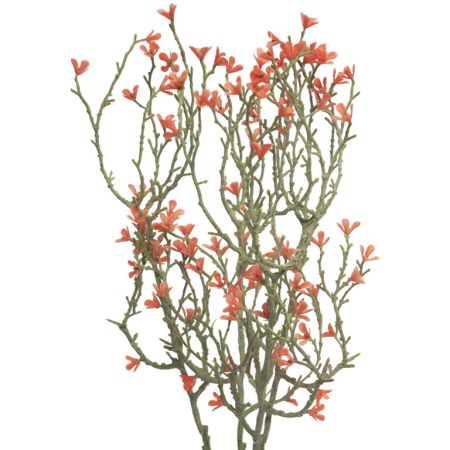 Blumenbusch Mini Stern, Rot