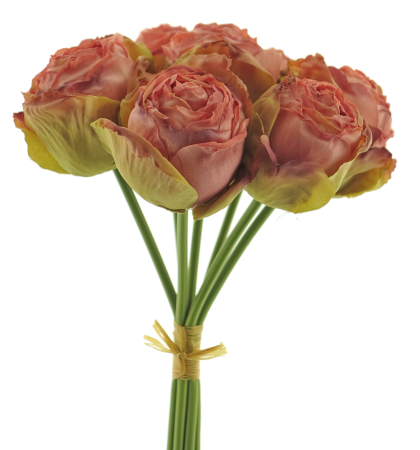 Cabbage Rosenbund x 5 dark pink