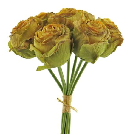Cabbage Rosenbund x 5 gelb