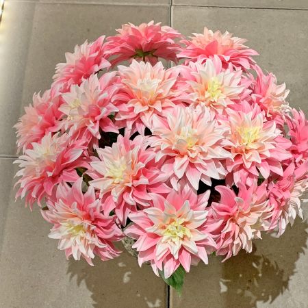 Dahlia Rocketstar pink