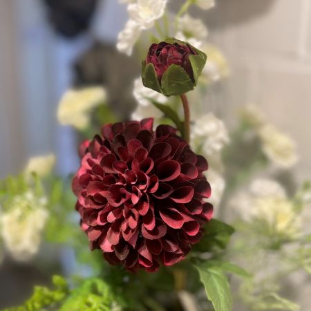 Dahlienzweig purple