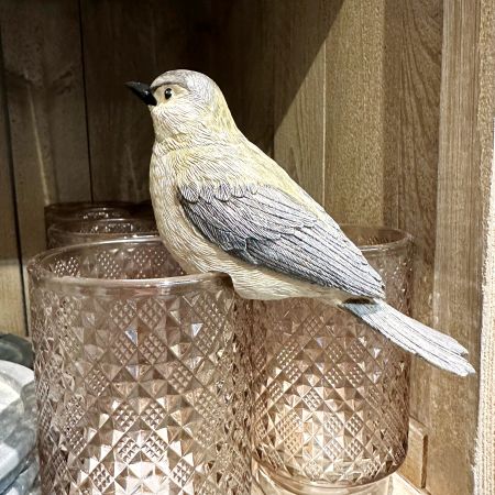 Dekovogel grün/braun für Topfrand