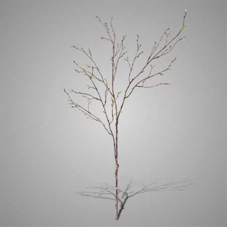 Dekozweig mit grünen Knospen