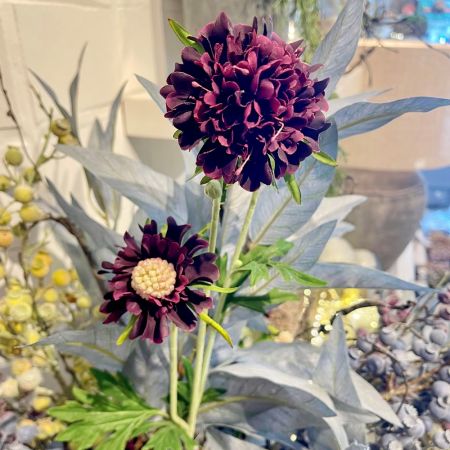 Diamond Scabiosa Zweig purple