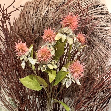 Distelzweig mit 6 Knospen