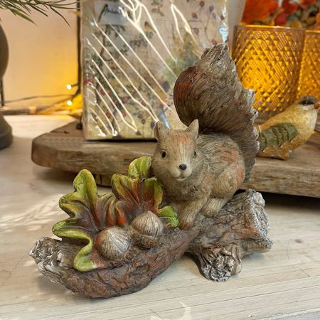 Eichhörnchen auf Stamm