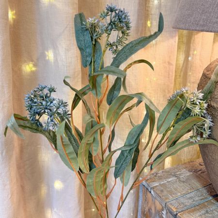 Eukalyptus Zweig blau