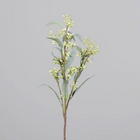 Eukalyptus-Zweig grün