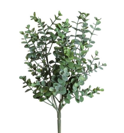 Eukalyptusbusch grün 