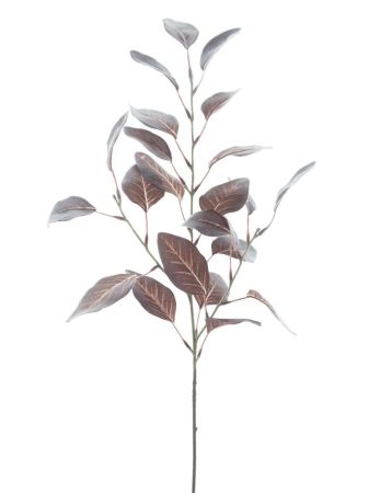 Eukalyptuszweig beflockt braun