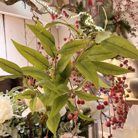 Eukalyptuszweig grün 