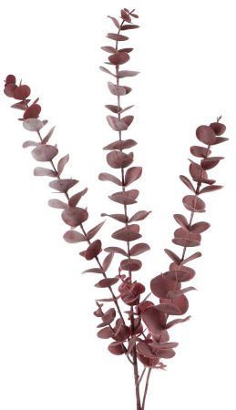 Eukalyptuszweig violett