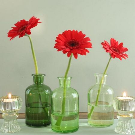 Flaschenvase grün/klar