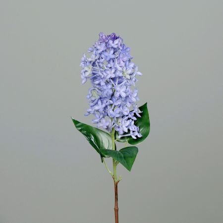 Flieder violett