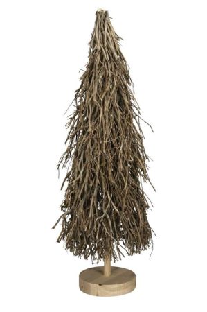 Geästtannenbaum Natur