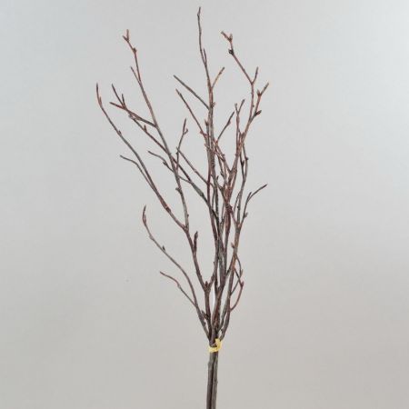 Geästzweig Bündel x3 braun