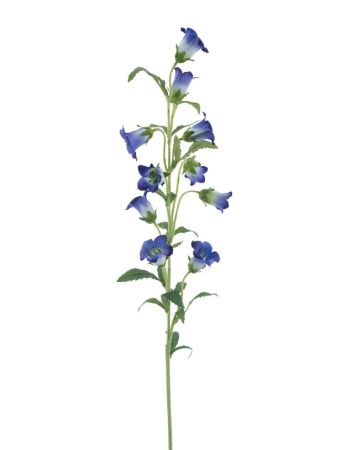 Glockenblumenzweig blau
