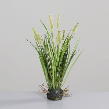 Gras im Erdballen