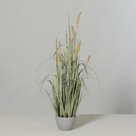 Gras im Kunststofftopf