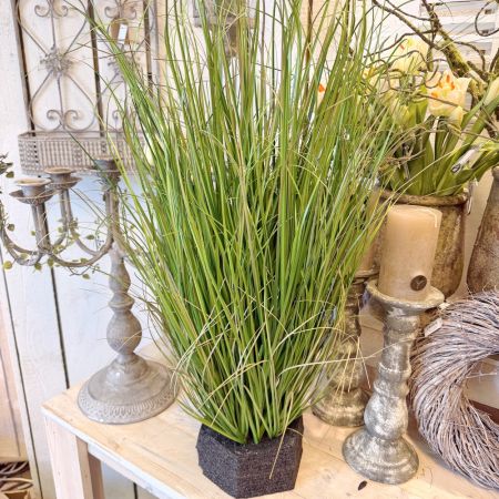 Gras im Steckmooswürfel