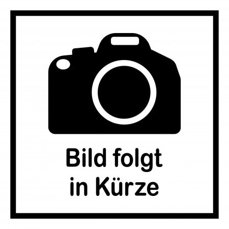 Hagebuttenzweig orange