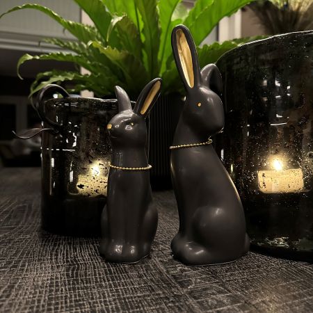 Hase Zonda schwarz/gold 