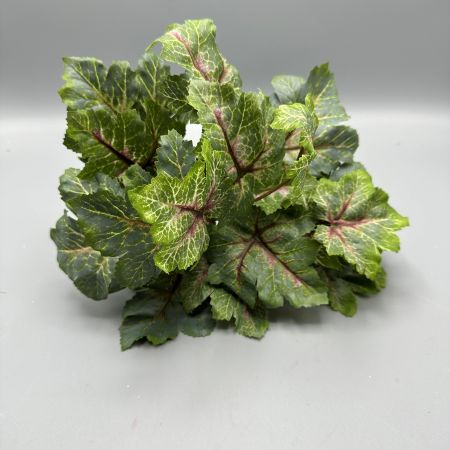 Heuchera Busch grün/rot