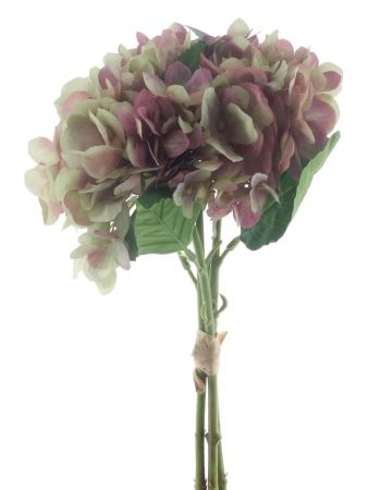 Hortensie Bund mit Blättern grün/violett