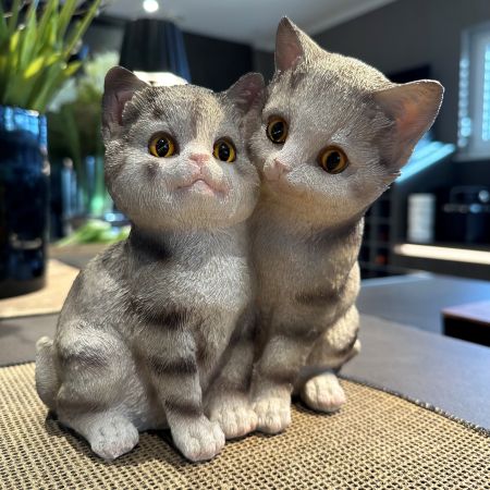 Katzenpaar