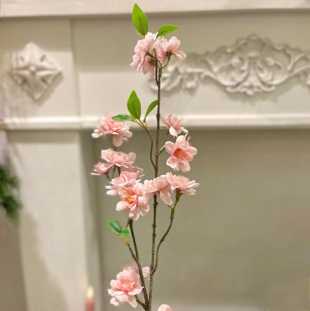 Kirschblütenzweig rosa