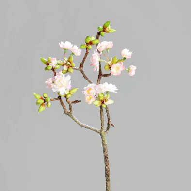 Kirschblütenzweig rosa-cream