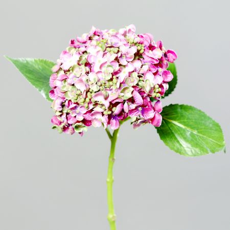 Künstliche Hortensie fuchsia