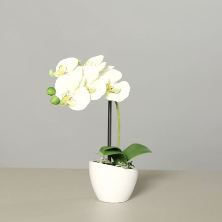 Künstliche weiß/grüne Orchidee-Phalaenopsis<p></p> im Keramiktopf