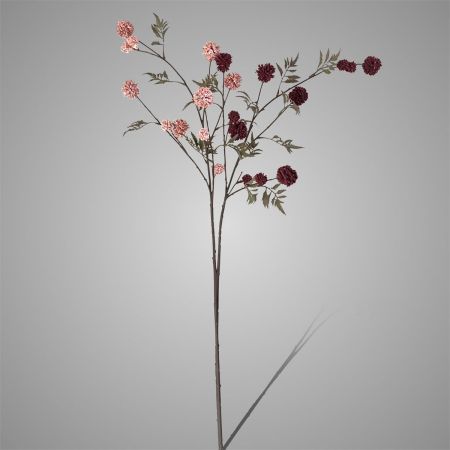 Kugelzweig rosa